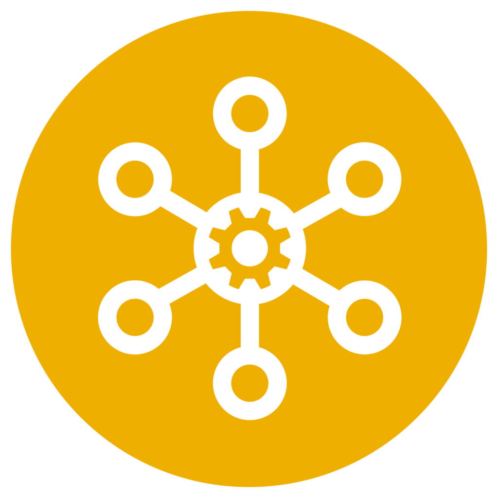 Network with cog in middle, mango color on circle